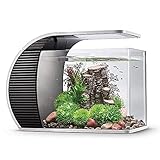 hygger LED Glasaquarium-Set Fish Tank19 Liter Aquarium, Panoramaaquarium geschwungene Frontscheibe mit verborgenem Filter, LED-Beleuchtung (3 Farbmodi zur Auswahl)