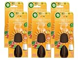 Air Wick Aroma-Öl Flakon – Duftöl Nachfüller für den Air Wick Diffuser – Duft: Lebensfreude– 6 x 20 ml ätherisches Öl