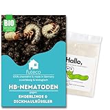 Futeco® – HB-Nematoden gegen Dickmaulrüssler & Engerlinge – für 5m² Fläche – zum einfachen gießen – 100% Biologisch, Chemiefrei & Natürlich – Made in Germany