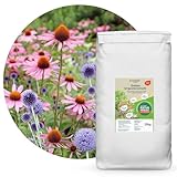 Schicker Mineral Diabas Urgesteinsmehl sandig 25 kg, Lava Gesteinsmehl 0-2 mm versorgt Garten und Boden natürlich mit Mineralien, 100% Naturprodukt, Bodenhilfsstoff, Bodenverbesserer, Fibl gelistet