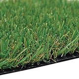 TENAX Irish Plus 2,00x5 m Grün, 25 mm Kunstrasen für Gärten, Terrassen, Balkone, Kunstgras für den Außen- und Innenbereich