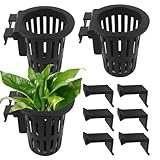 Bomefoi Pflanzenhalter für Aquarien, Pflanzgefäß mit Haken und Saugnapf, Wasserornamente für Anzucht, Lebensraum, Innenbereich, Garten, Vivarium, Anzucht, Riparium