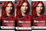 Brillance Intensiv-Color-Creme 842 Kaschmirrot Stufe 3 (3 x 160 ml), dauerhafte Haarfarbe mit Diamant-Glanz-Effekt & Pflege-Conditioner, 10 Wochen Farbintensität