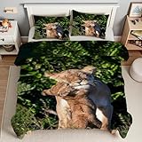 YZQGLHP Bettdecke 220x240 Löwe Wende Steppdecke Tier Bettdecke ohne Bezug, Weiche Microfaser, 4 Jahreszeiten Bettdecken mit 2 Kissenbezug 80x80cm
