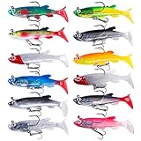 Set mit 12 Angelködern + Box, Gummifisch, 12 g, Barsch, Forelle, Zander, Geschenk für Männer, Kunstköder mit Drillingen