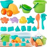 16 Stück Strand Sandspielzeug Set，Sea Life Sandmodell Strandspielzeug，Strand Sandspielzeug mit Strandbuggy，Eimer，Gießkanne，Harke，Kleiner Spaten für Kinder Jungen Mädchen