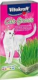 Vitakraft Katzen Gras Set, Cat Grass, 1x 120g