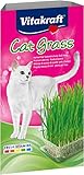 Vitakraft Cat Grass, frisches Katzengras, Katzengras fertig gewachsen, mit Vitaminen und Mineralien (1x 120g)