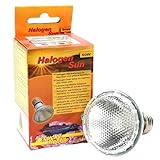 Lucky Reptile Halogen Sun - 50 W Wärmestrahler für E27-Fassungen - Halogenstrahler für Reptilien - Terrarium Lampe mit Tageslichtspektrum - Wärmelampe dimmbar - Zubehör Terrarium, 1 Stück (1er Pack)