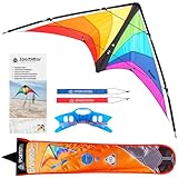 HQ Design - Breezo Lenkdrachen Zweileiner Flugdrachen Allround Drachen für Kinder und Erwachsene ab 12 Jahre 82x170cm inkl. 50kp Dyneemaschnüre 2x25m+Schlaufen 2-6 Bft (Rainbow)