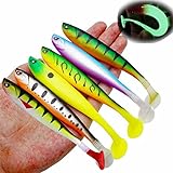 Njord Kalastus Gummifische Zander Köder 6 Stück 12 cm 10g | Mit Hakentaschen für Standard Jigkopf und auch Offsethaken | Raubfisch Köder Set in fängigen Farben | Gummifische Hecht Zander Köder (6X)