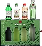 Tanqueray Exploration Pack mit London Dry Gin, No. Ten, Flor de Sevilla und Rangpur Gin (1 x 0.2 l)