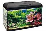 Amtra Basic 60 LED - Komplettes Aquarium mit 65 Litern, 8 Watt Beleuchtung, Innenfilter und Heizung, 60 x 32 x 42 cm