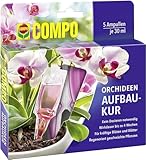 COMPO Orchideen-Aufbaukur – 4 Wochen Langzeitwirkung - für alle Orchideenarten - erste Hilfe bei Nährstoffmangel - 5 Ampullen je 30 ml, Orchideendünger