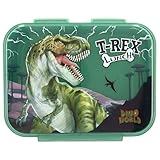 Depesche 12898 Dino World Reflector - Brotdose in Dunkelgrün, mit Dino Motiv und Blitzen, Lunchbox mit 3 Fächern und transparentem Deckel