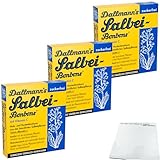 usy Bundle für Dallmann's Salbei Bonbons mit Vitamin C zuckerfrei 3er Pack (3x37g Packung) + usy Block