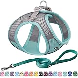 AIITLE Anti-Pull-Hundegeschirr, verstellbares Hundegeschirr mit gepolsterter Weste, einfach zu tragen bei kleinen bis mittelgroßen Hunden, Türkis S