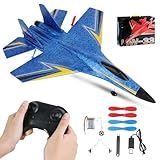 RNPKZ F-22 RC Flugzeug, 2.4Ghz 2 Kanal Flugzeuge Ferngesteuert mit Gyro System, Schaumstoff Ferngesteuertes Flugzeug, Ferngesteuerte Flugzeuge, RC Flugzeugs für Anfänger Kinder Erwachsene (Blau)
