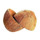 Sri Care Natürliche halbierte Kokosnussschale für Handwerk, Haustier-Futterspender und Kerzenmacher sowie Weihnachts- und Halloween-Dekorationen (2, mit Fasern)
