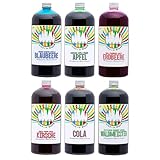 Rainbow Slush Sirup AZO FREI | 6x1 Liter Flasche | Konzentrat für Slushy Maker Eis Slushmaschinen Eismaschinen Getränke 1:5 bis 1:20 (6xGemischt)