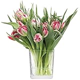 TREND FOR HOME Vase für Blumen Pflanzenglas Pflanzenterrarium Flaschengarten Indoor-Dekoration Blumentopf Transparent | Spülmaschinenfest | Kollektion Violet | Kapazität 820 ml