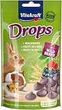 Vitakraft Drops, Leckerlies für Nager, mit Waldbeere, Nagerfutter, zum Verwöhnen, ohne Zusatz von Zucker (1x 75g)