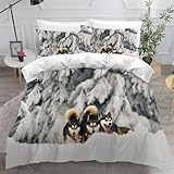 ZhYaDoN Husky-Schlittenhund Bettwäsche Set 220x240cm Hund Tier Bettbezug mit Reißverschluss und 2 Kissenbezüge 80x80cm 3D Weich Flauschig Leicht Betten Mikrofaser Bettbezüge 3teilig Sommer