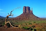 Tomax Monument Valley, Utah, 1000 Teile, leuchtet im Dunkeln