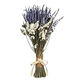 WANGZEYU Pampasgras Deko Pampasgras-Dekor, Brautjungfernsträuße, getrocknete Lavendelblüten, Hochzeitssträuße, natürliche getrocknete Hasenschwänze, Blumenarrangements Trockenblumen(C)