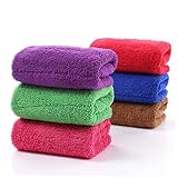 TIDTALEO Auto Waschtuch aus Doppellagigem Korallenvlies Lila Schnelltrocknend Kratzfest für Auto Truck Boot und Zuhause Starke Wasseraufnahme und Langlebige Verarbeitung