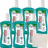 Elkos DentaMax Antibakterielle Mundspülung Minze 6er Pack (6x500ml Flasche) + usy Block