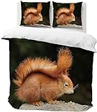 Bettbezug 220x240 Eichhörnchen Bettwäsche-Sets Tier Weiche Mikrofaser 3D Bettwäsche Eichhörnchen 3 Teilig Bettbezüge mit Reißverschluss und 2 Kissenbezug