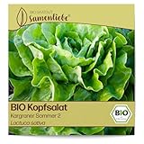 Samenliebe BIO Kopfsalat Samen Kargraner Sommer 2 süß nussiger Hochsommersalat Salat grün 500 Samen samenfestes Gemüse Saatgut für Gewächshaus Freiland und Balkon BIO Gemüsesamen