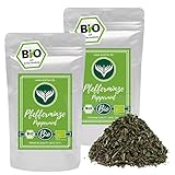 Azafran BIO Pfefferminze - Pfefferminztee lose getrocknet 500g