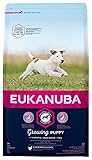 Eukanuba Welpenfutter mit frischem Huhn für kleine Rassen, Premium Trockenfutter für Junior Hunde, 3 kg