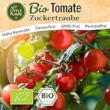 Little Plants BIO Tomaten Samen 10 Tomatensamen Zuckertraube Kirschtomate Gemüsesamen für Gemüsegarten Samenfest Gemüse Samen für Küche, Balkon und Garten