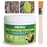 AllisWay Wundverschluss für Bäume, Baumwachs Wundverschluss, Baumwunden Versiegeln, es Bildet Nach Dem Trocknen Schnell Einen Film und Eignet Sich zur Wundheilung von Obstbäumen und Zierbäumen, 300g