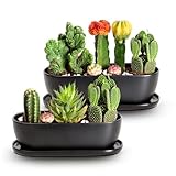 E-liu Keramik-Blumentöpfe, 28 cm + 35,6 cm, 2 Stück, Pflanzgefäße mit Drainagelöchern, Untersetzer und Netz-Pads, für den Innenbereich, Sukkulententententententopf mit Lochgitter-Pad, Geschenke für