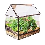 MINGZE Geometrisches Terrarium, Haus-Form, Glas, schließbar, Gewächshäuschen für Sukkulenten/Moos/Farn, mit Klappdeckel (Schwarz)