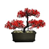 Kunststoff Künstliche Bonsai-Baumdekoration für Eingangsbereich, Schlafzimmer, Ästhetisch und Bauernhaus, Badezimmer, Bücherregal, Zimmer, Schreibtisch, Dekoration 28 x 21,8 cm Rot