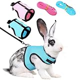 DKDDSSS 2 Stück Weiches Kaninchen Geschirr mit Leine, Verstellbares Kaninchen Leine, Kaninchen Zubehör, für Kleine Häschen Andere Kleine Haustiere Walking