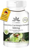 Garcinia Cambogia Extrakt 500mg - 100 Kapseln Tamarinde - standardisiert auf 60% HCA - Hochdosiert - Vegan | HERBADIREKT by Warnke Vitalstoffe - Deutsche Apothekenqualität