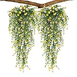 Générique Hängend – Leckage | falsche Köstlichkeit | 2 Stück hängende Blütenfakes | UV-beständige Wanddekoration aus Naturgrün für Badezimmer, Küche, Wohnzimmer, Terrasse