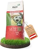 Hesa Sportrasen, 1 kg Strapazierrasen für ca 40 m², schnellkeimende Premium Rasensamen für starke Beanspruchung, Fussballrasen, Sportplatzrasen in Profiqualität, auch für Nachsaat