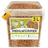 Mehlwürmer getrocknet 3L, Premium Insektensnack Vögel, Fische, Schildkröten, Nager, Igel, Reptilien, Vogelfutter Wildvögel Ganzjährig Eichhörnchen Futter Hamsterfutter Igelfutter (460g)