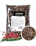 Minotaur Spices | Pfeffer bunt ganz | 2 x 500g (1 Kg) | Bunter Pfeffer aus schwarzen, weißen, grünen Pfefferkörnern und Rosa Beeren