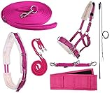 netproshop Longieren Zubehör Farbe Pink Wählen Sie: Zaum, Longe, Pad oder Gurt usw, Auswahl:Longierbrille, Groesse:One Size