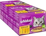 Whiskas 7+ Katzenfutter Geflügel Auswahl in Sauce, 24x85g (2 Packungen) – Hochwertiges Nassfutter ab dem 7. Lebensjahr in 48 Portionsbeuteln