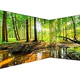 murando Eckfototapete Wald Landschaft 550x250 cm Vlies Tapeten Wandtapete XXL Moderne Fototapete Wanddeko Design Wand Dekoration Wohnzimmer Schlafzimmer Büro Flur Natur Baum grün Sonne c-B-10040-a-a
