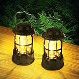 Flintronic 2 Stück LED Campinglampe Tragbar, IPX4 Wasserdichte Camping Licht, Batteriebetrieben Campinglampe, Dimmbare COB-Helligkeit & 3 Lichtmodi, für Outdoor, Nachtangeln, Garten, Notfall Ausfälle